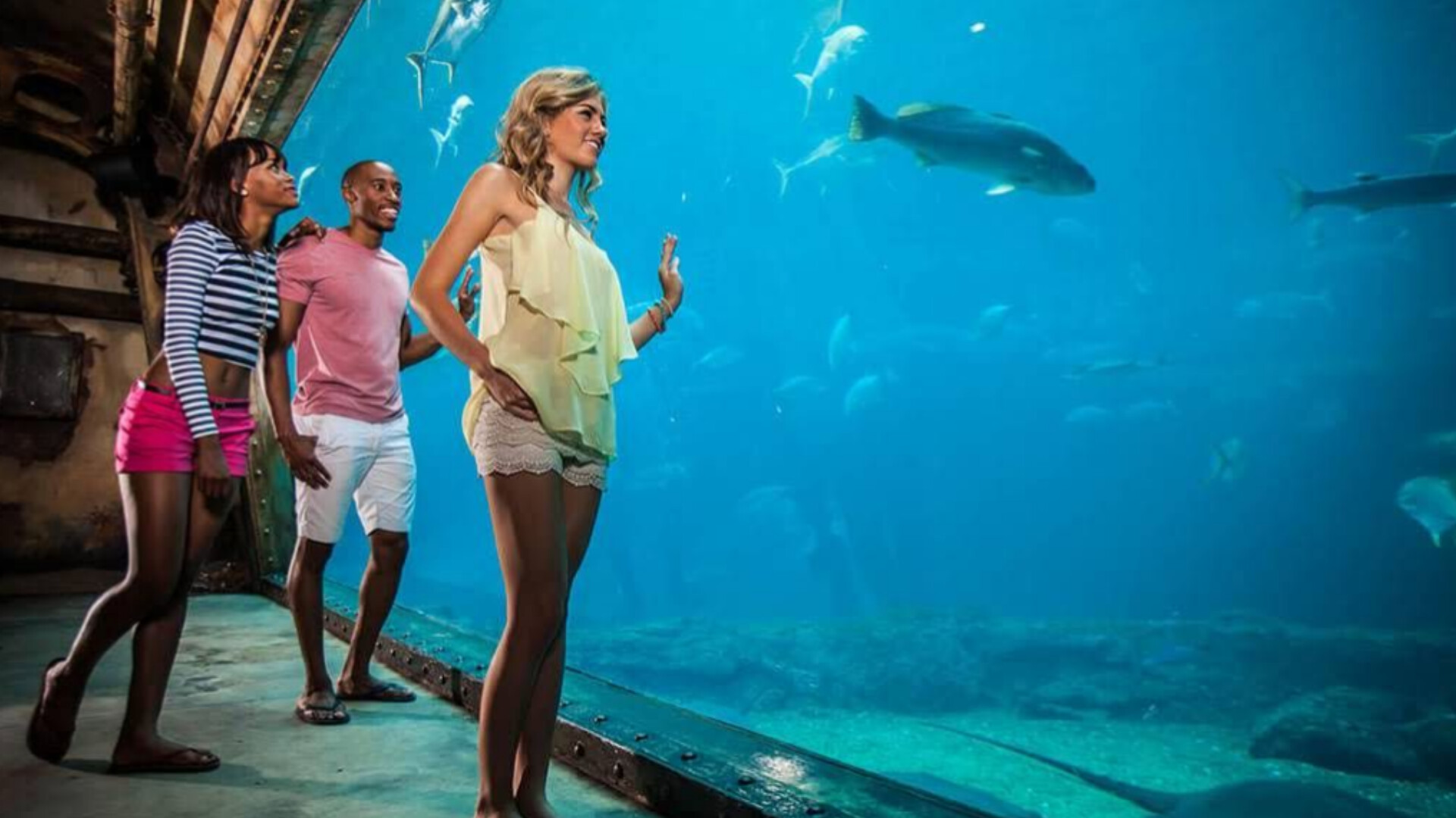 uShaka Marine World – Durban’s Ocean-Themed Entertainment and Lifestyle Destination