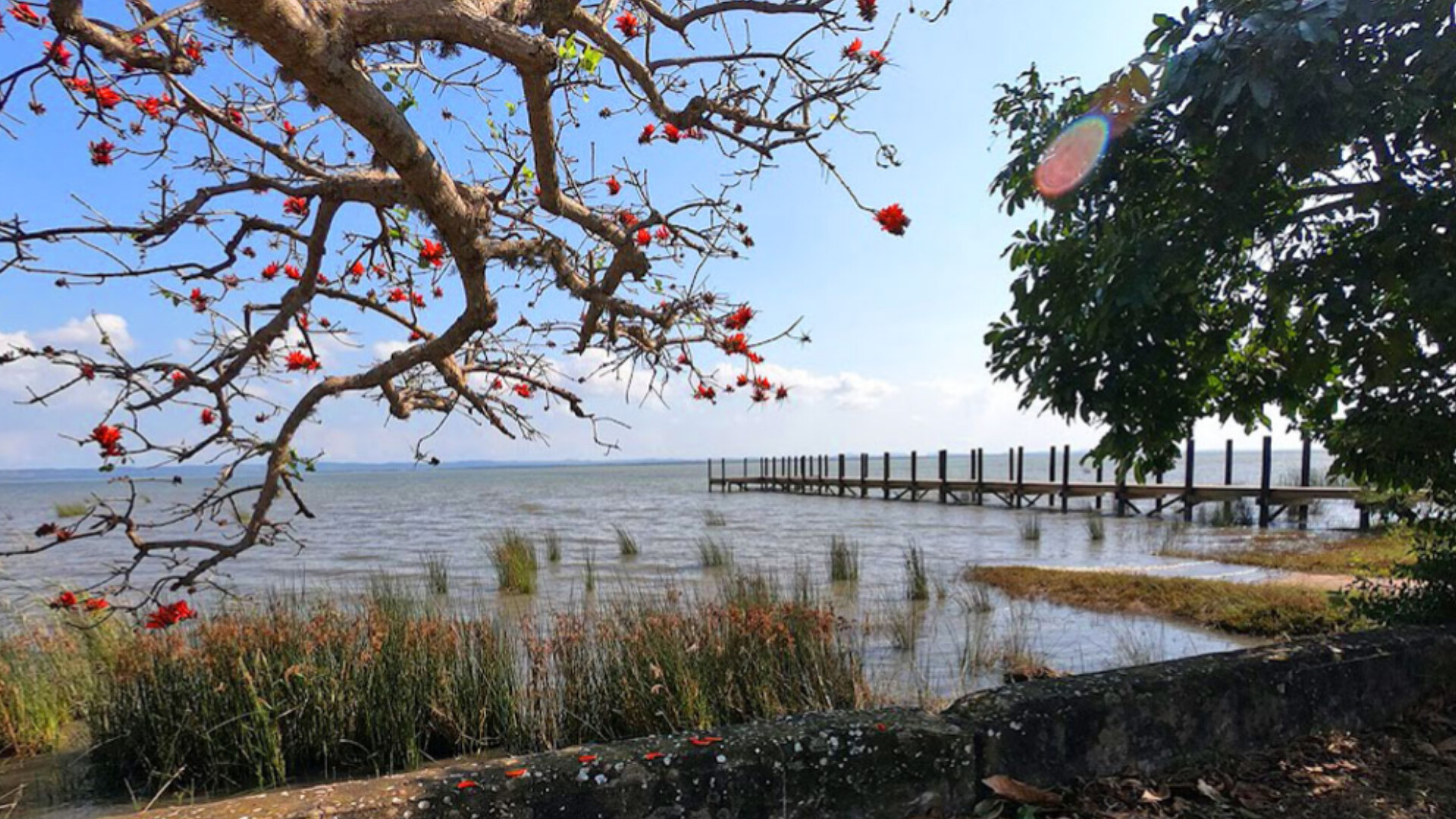 What to Expect when you Visit iSimangaliso Wetland Park