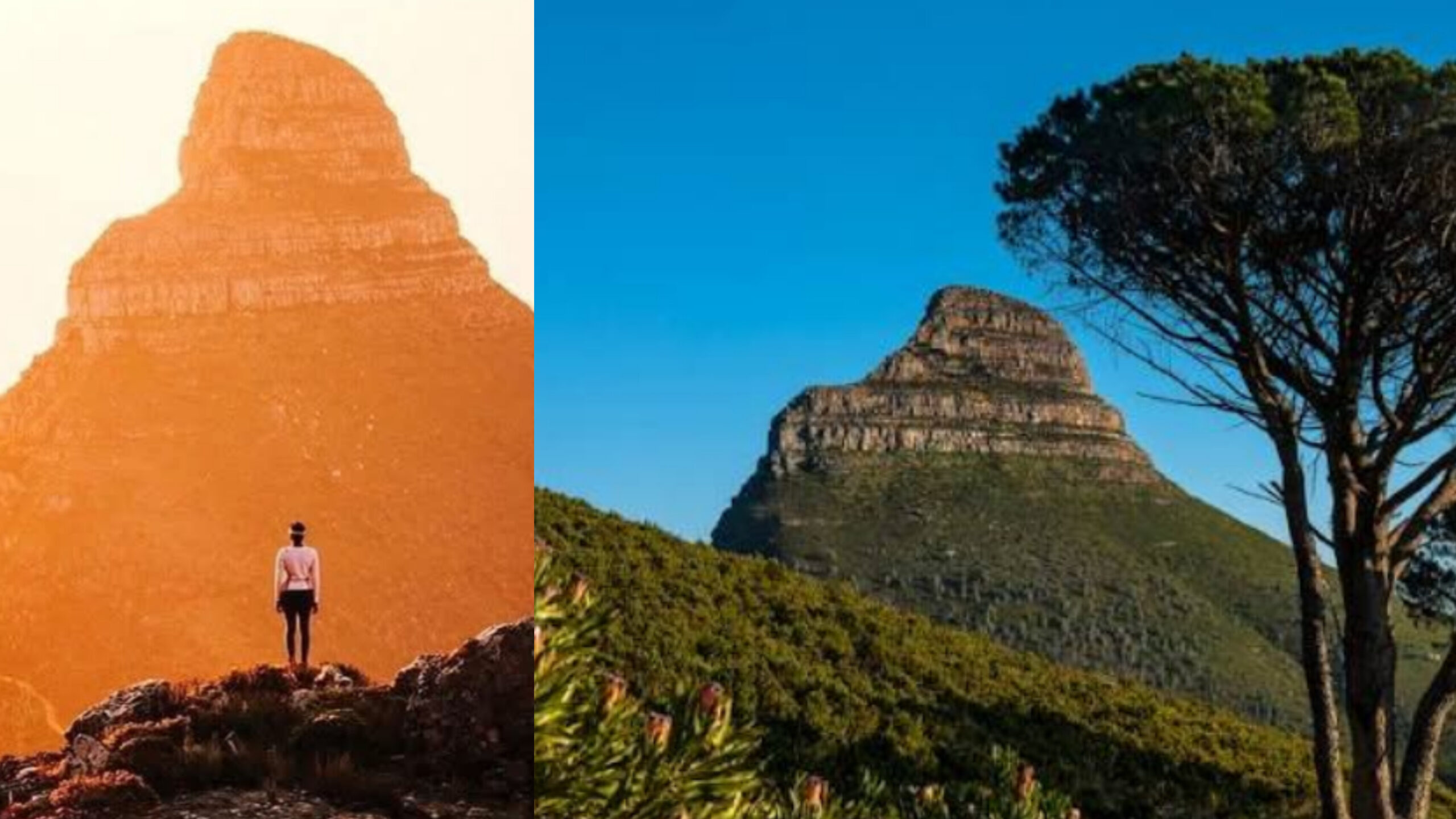 Visiting “The Lion’s Head” In Cape Town